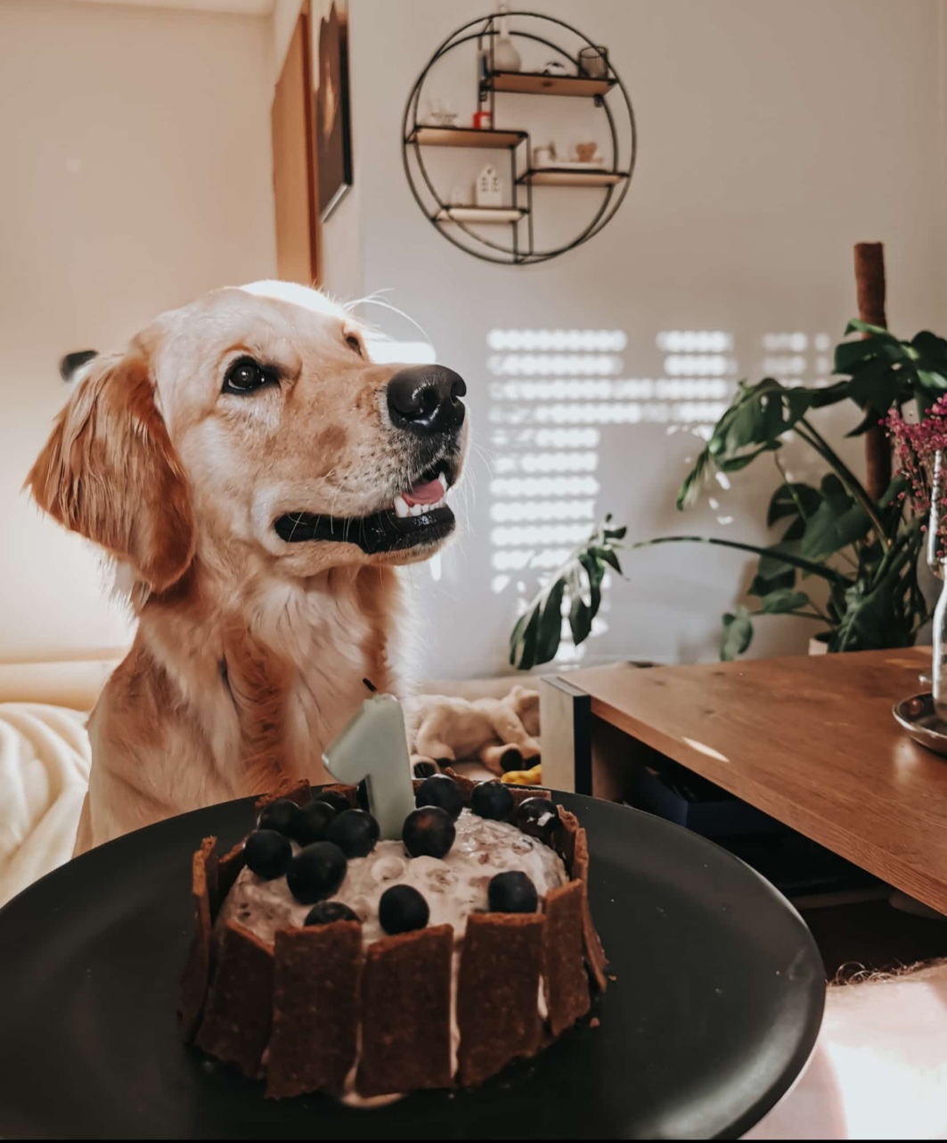 Screenshot_20260401_223601_WhatsApp